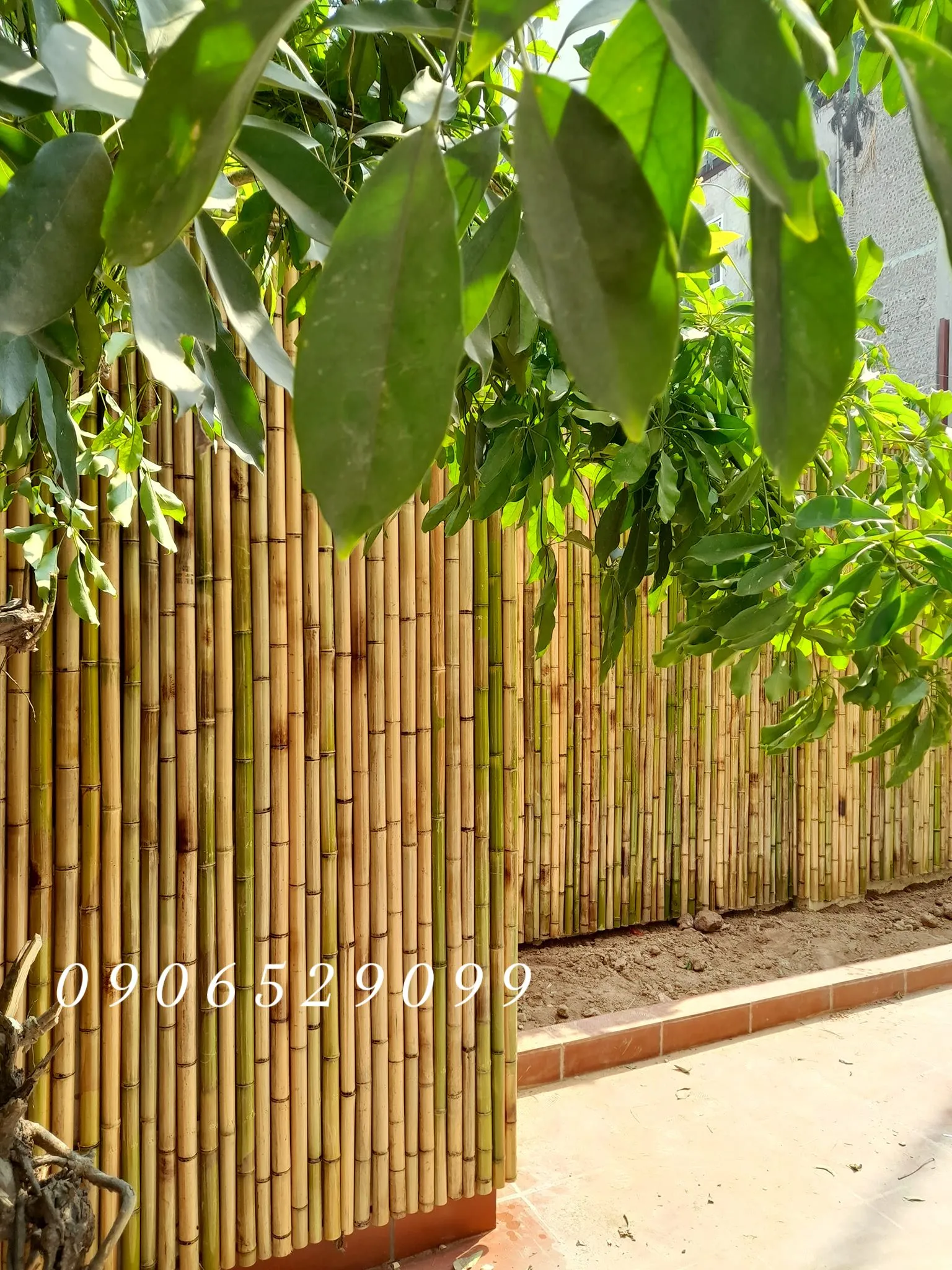 Mẫu vách trúc trang trí sân vườn 03